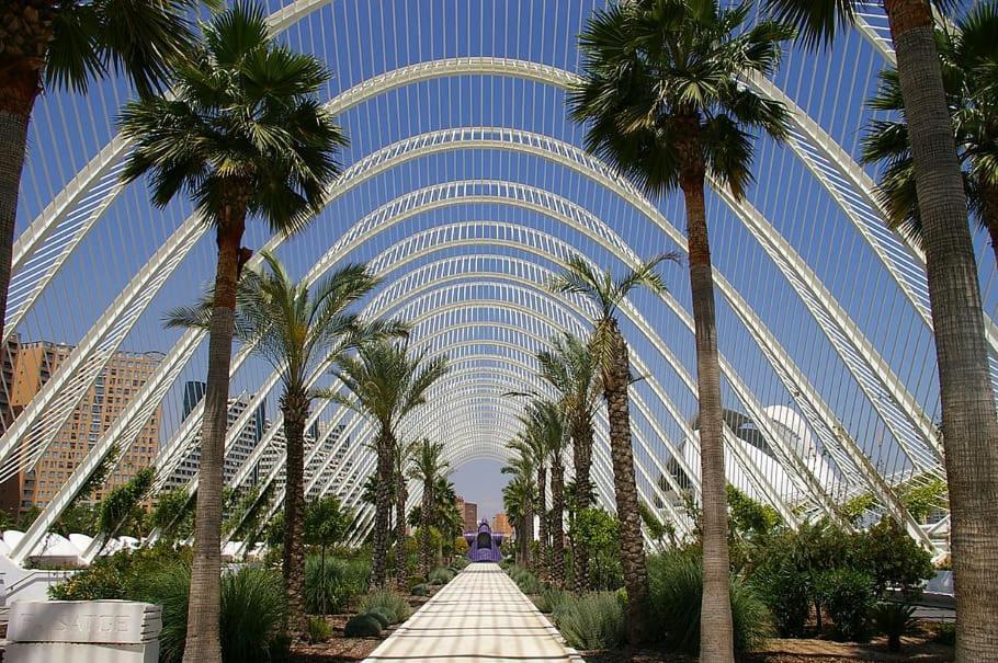 Apartamento Turistico Lux Center Valencia Exterior photo